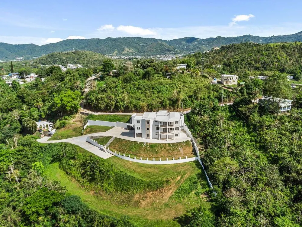 CARR 171 MOGOTE Cayey, PR 00736