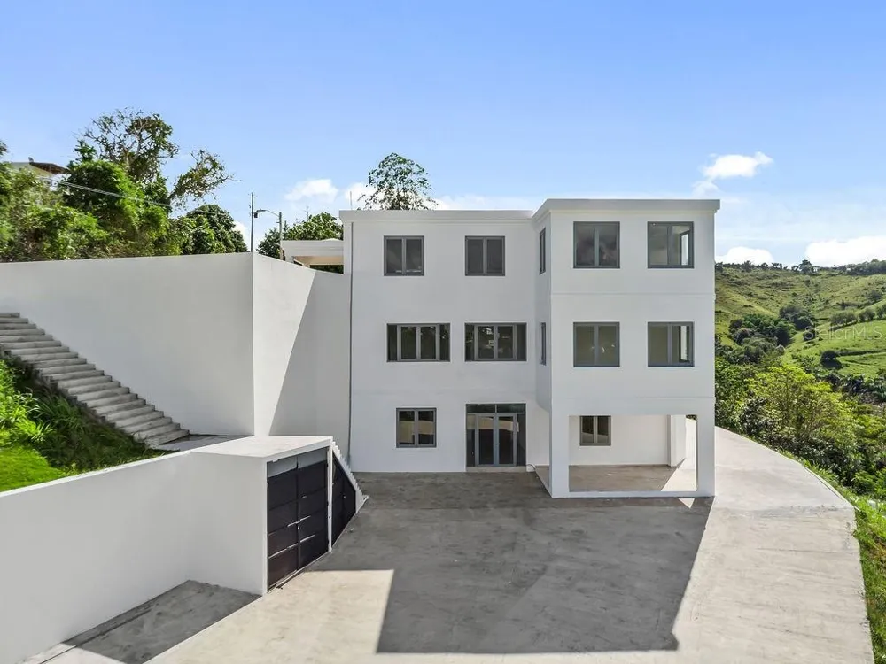 CARR 171 MOGOTE Cayey, PR 00736