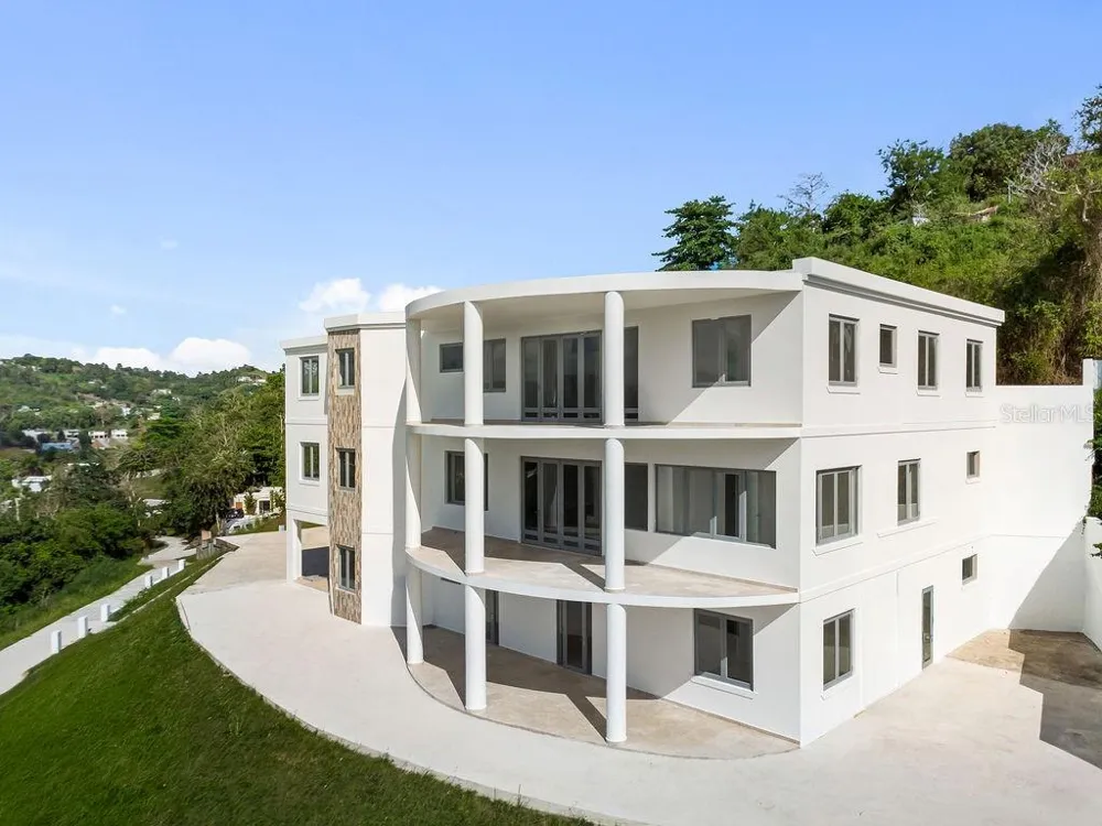 CARR 171 MOGOTE Cayey, PR 00736