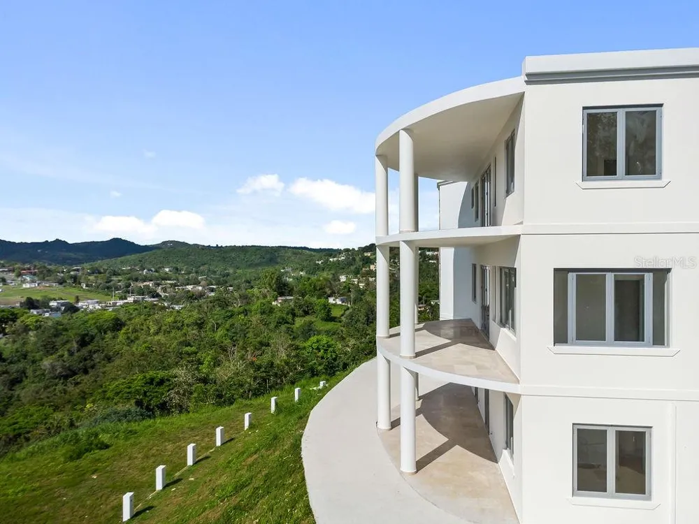CARR 171 MOGOTE Cayey, PR 00736
