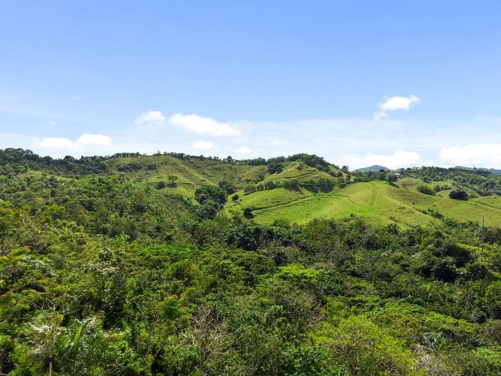CARR 171 MOGOTE Cayey, PR 00736