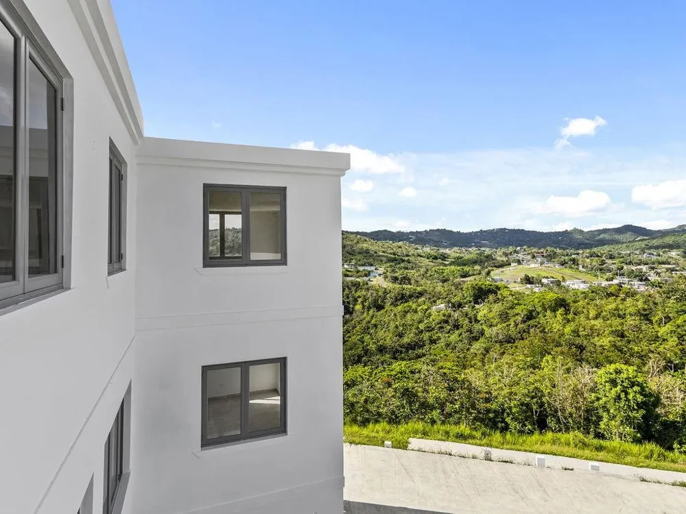 CARR 171 MOGOTE Cayey, PR 00736