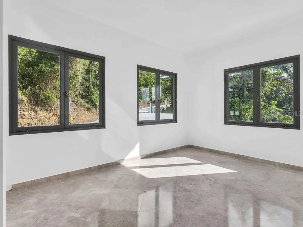 CARR 171 MOGOTE Cayey, PR 00736