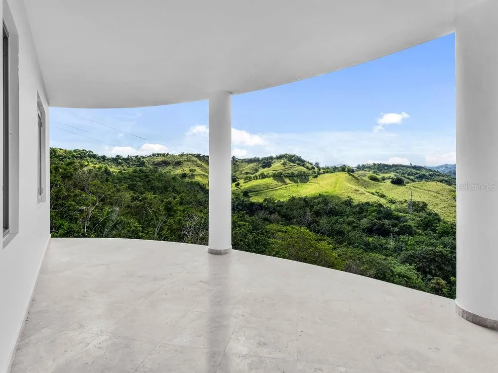 CARR 171 MOGOTE Cayey, PR 00736