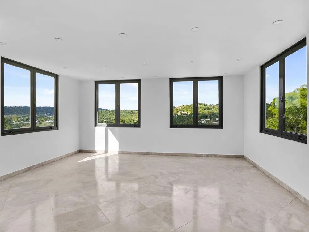 CARR 171 MOGOTE Cayey, PR 00736