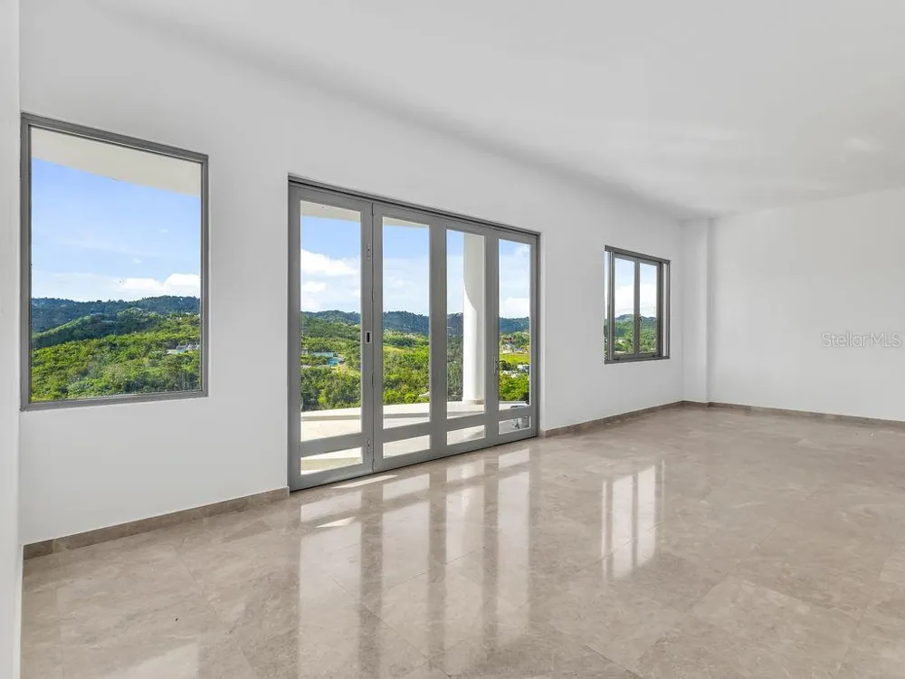 CARR 171 MOGOTE Cayey, PR 00736