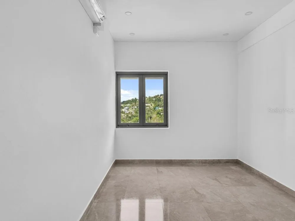 CARR 171 MOGOTE Cayey, PR 00736