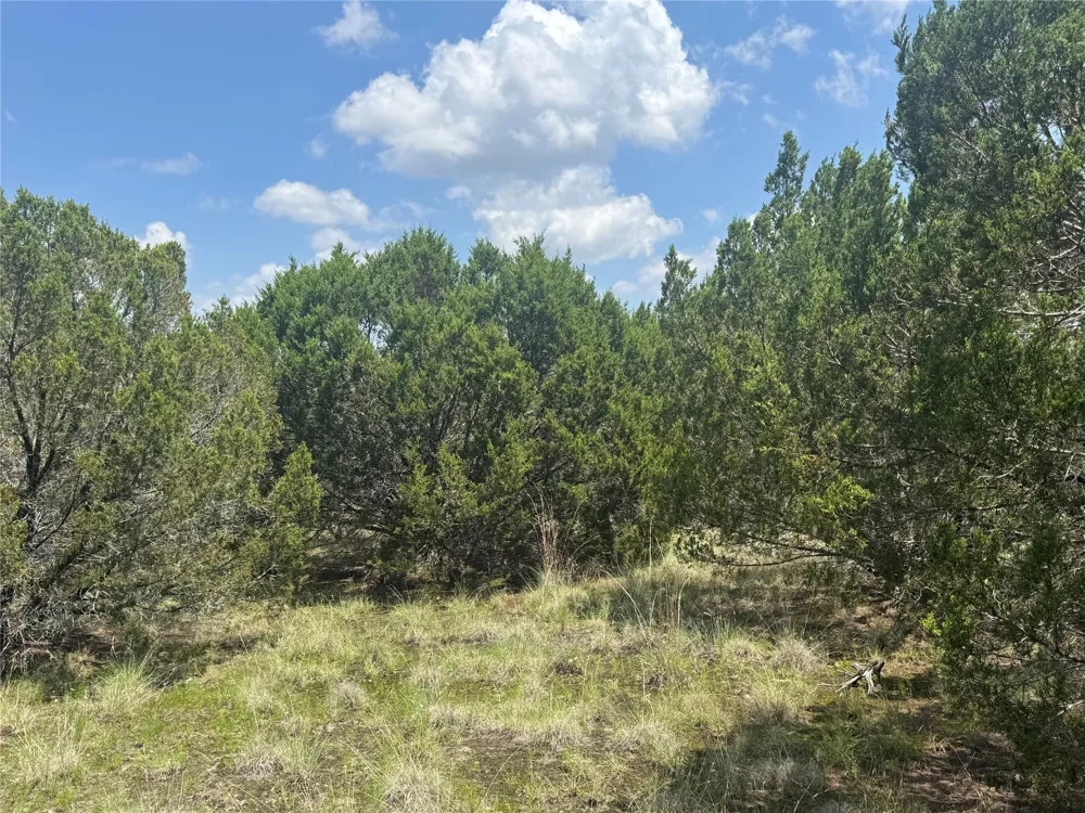 52 Long View Drive Lampasas, TX 76550