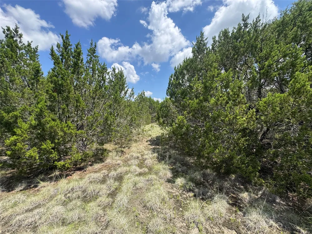52 Long View Drive Lampasas, TX 76550