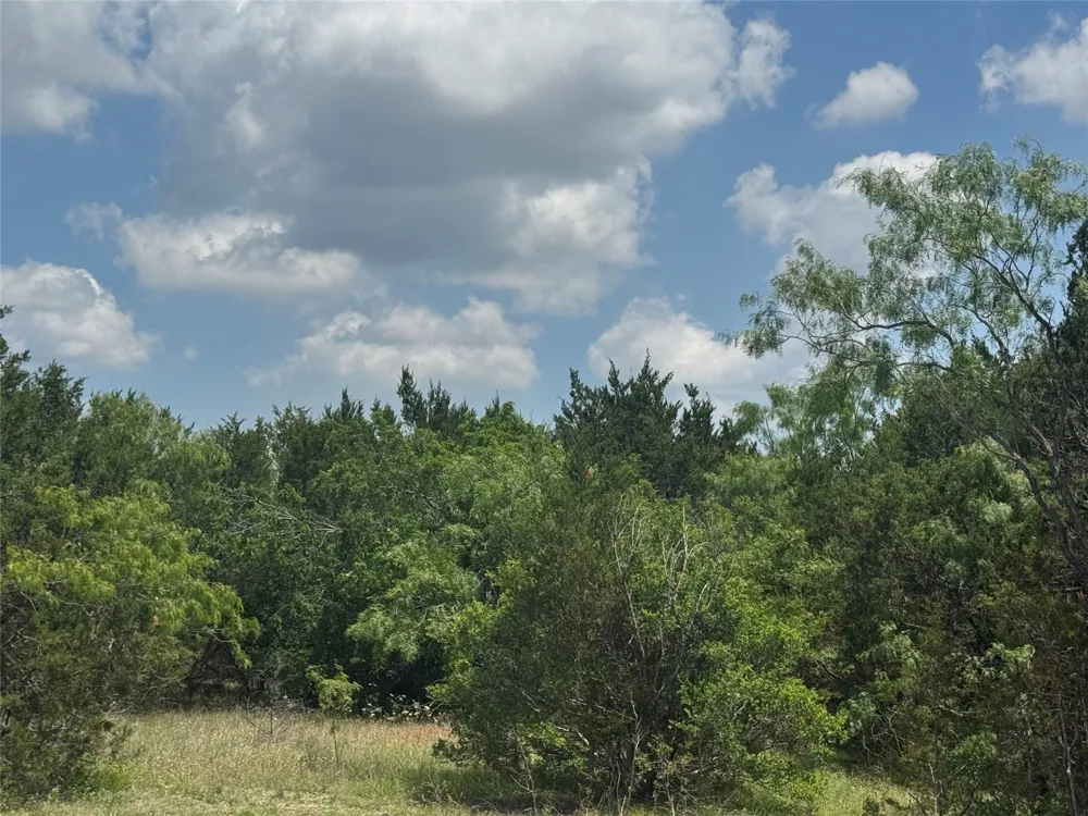 52 Long View Drive Lampasas, TX 76550