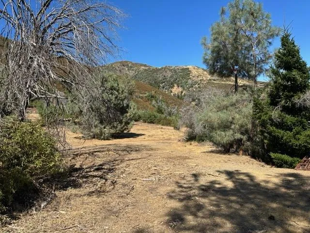 35500 Loma Chiquita Road Los Gatos, CA 95033