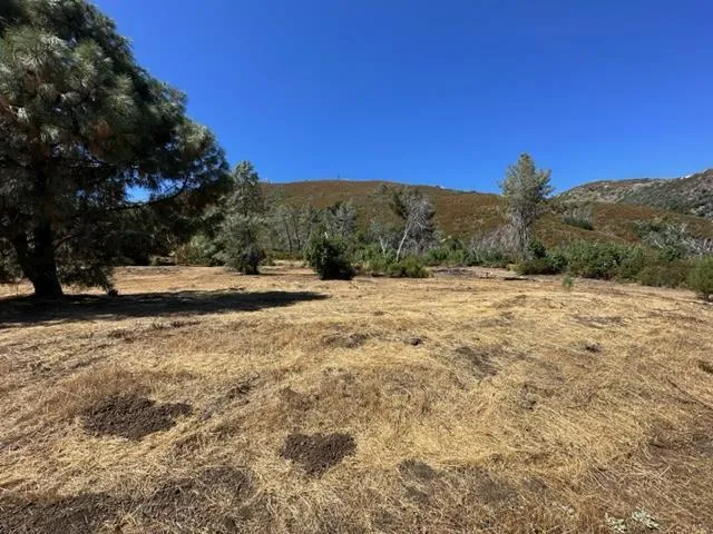 35500 Loma Chiquita Road Los Gatos, CA 95033