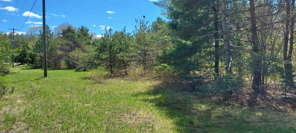 Johnson Road Custer Township, MI 49659