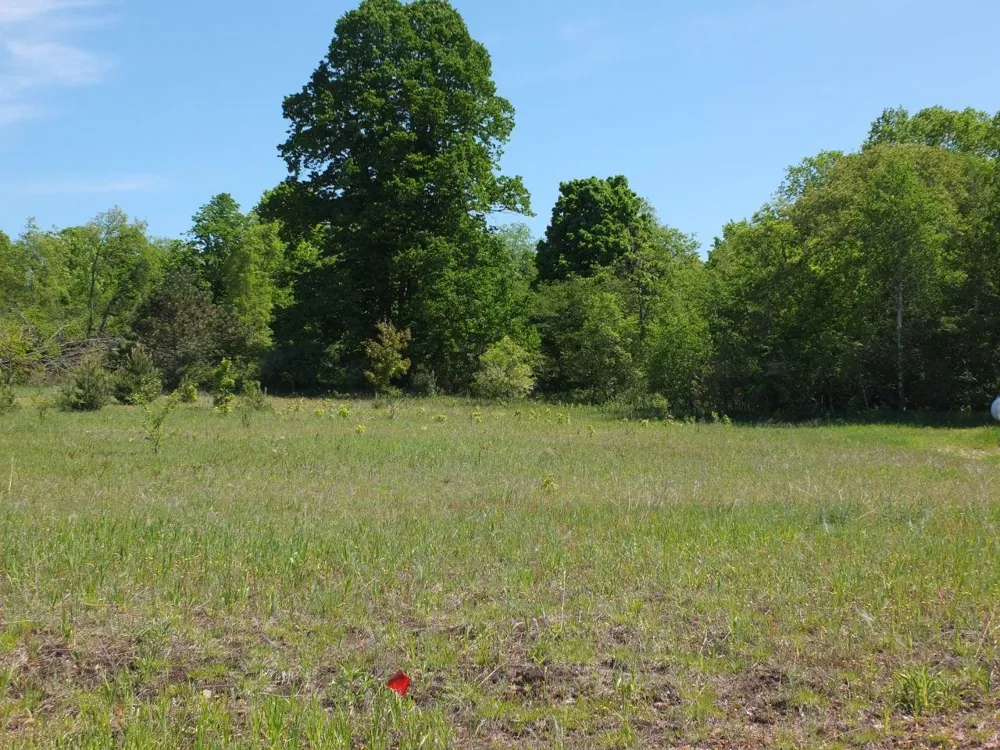 Kingsfield Drive Mayfield Township, MI 49649