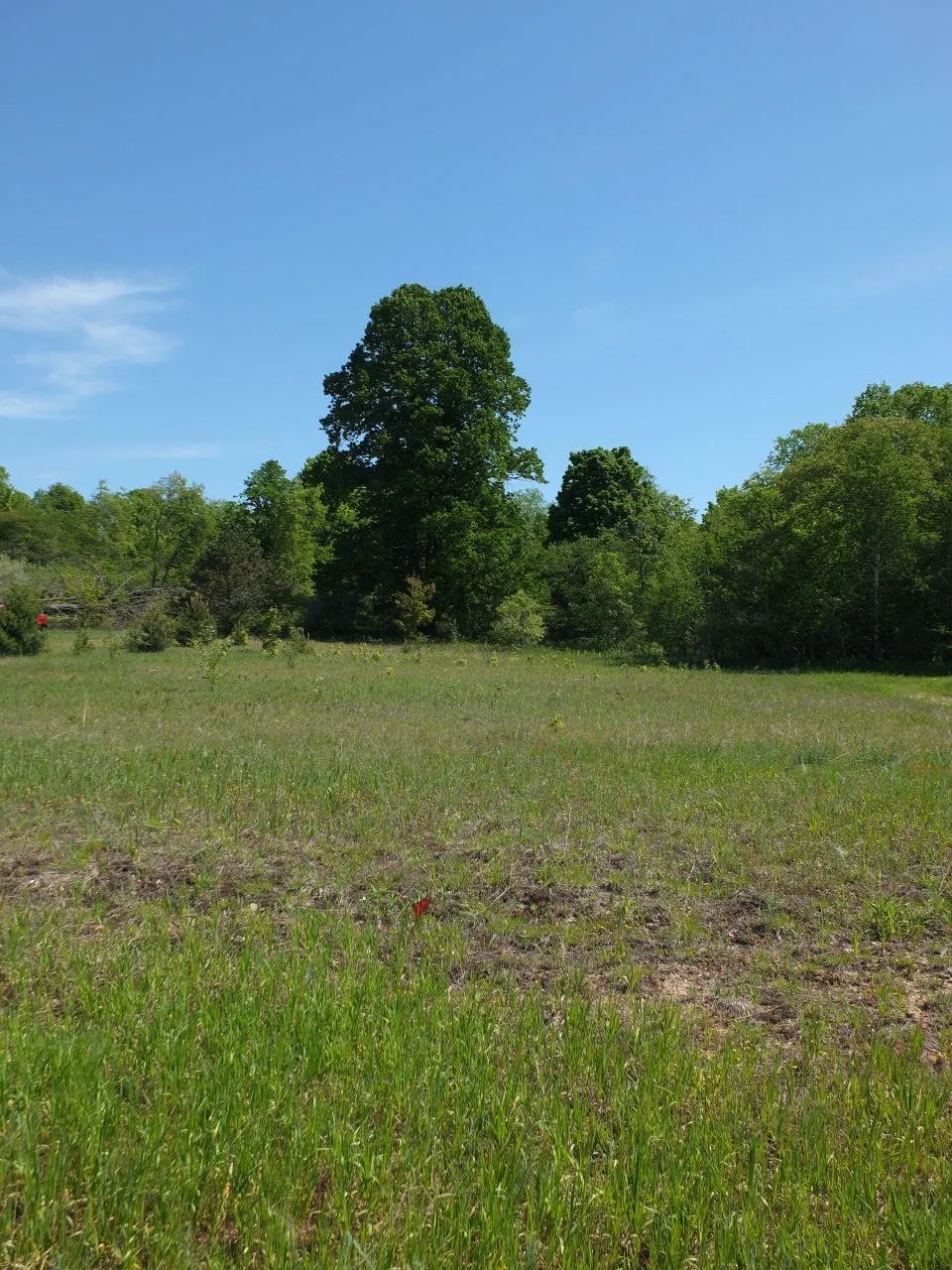 Kingsfield Drive Mayfield Township, MI 49649