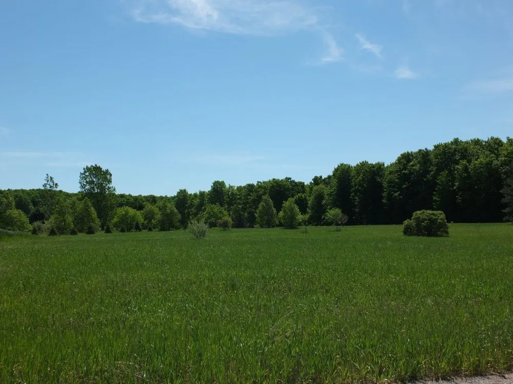 Kingsfield Drive Mayfield Township, MI 49649