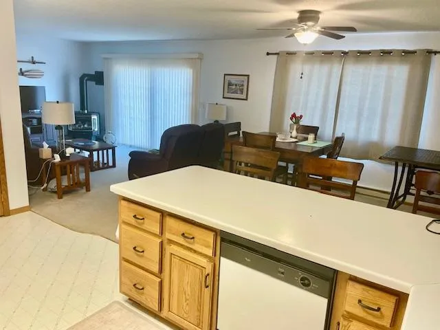 29464 422nd Avenue Battle Lake, MN 56515