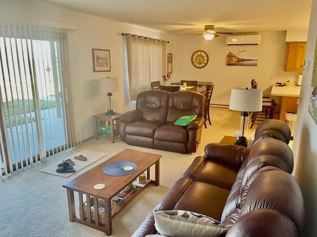29464 422nd Avenue Battle Lake, MN 56515