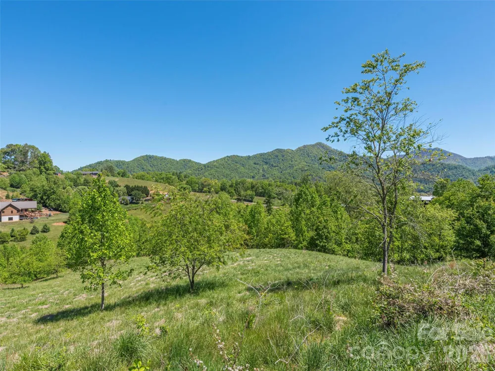 0000 Inheritance Mountain Road Waynesville, NC 28785