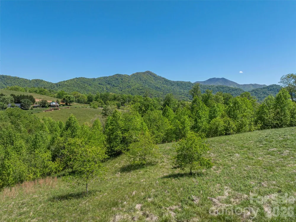 0000 Inheritance Mountain Road Waynesville, NC 28785