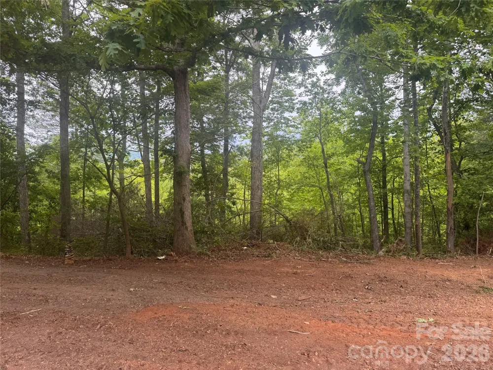 124 Parker Road Casar, NC 28020