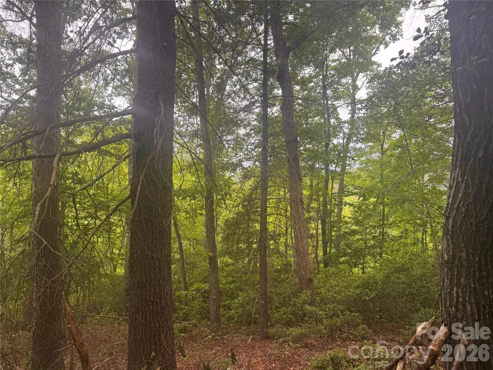 124 Parker Road Casar, NC 28020