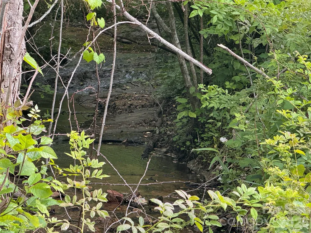 124 Parker Road Casar, NC 28020