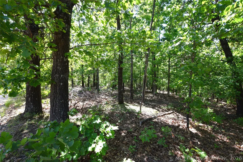 6387 Sacred Fire Ridge Road Proctor, OK 74457