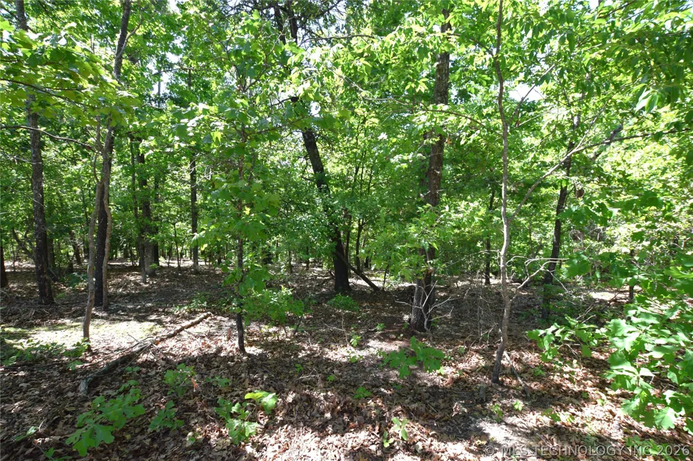 6387 Sacred Fire Ridge Road Proctor, OK 74457