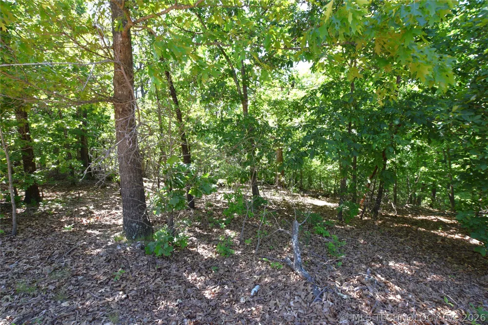 6387 Sacred Fire Ridge Road Proctor, OK 74457