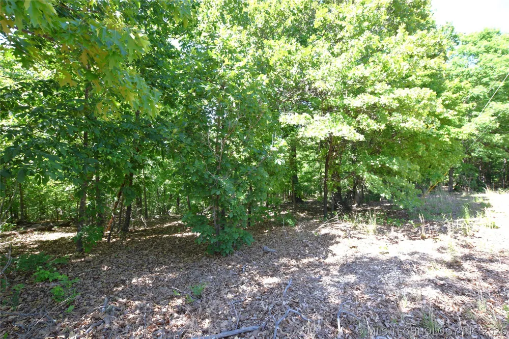 6387 Sacred Fire Ridge Road Proctor, OK 74457