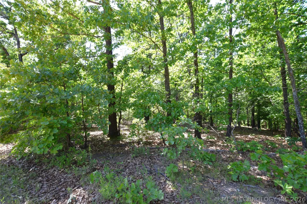6387 Sacred Fire Ridge Road Proctor, OK 74457