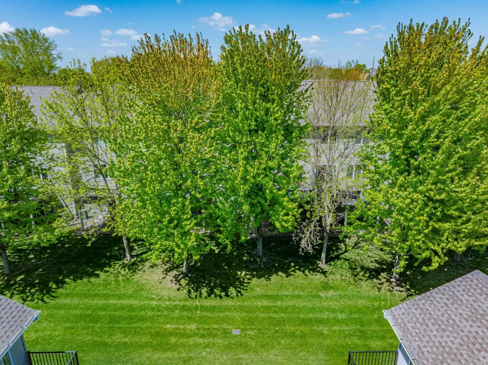 1020 Primrose Lane Waconia, MN 55387