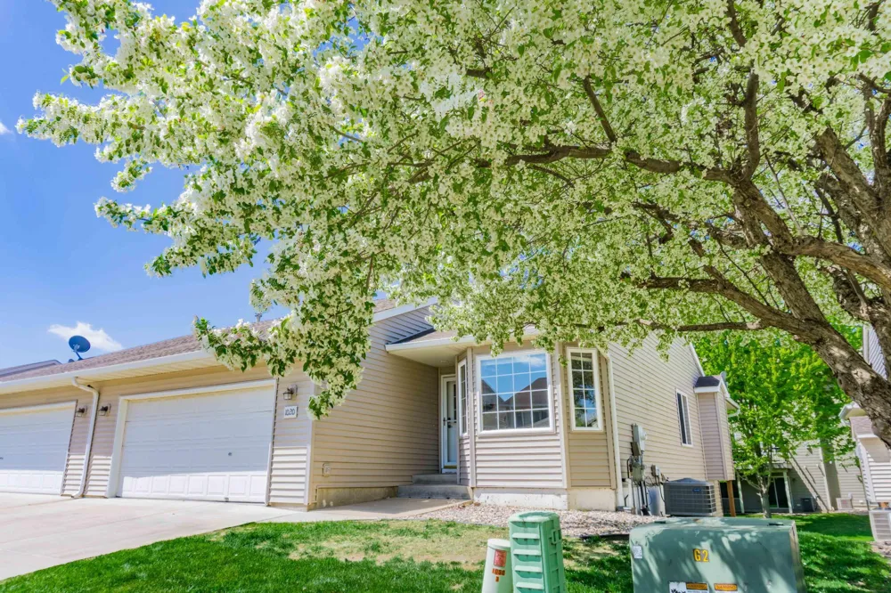 1020 Primrose Lane Waconia, MN 55387