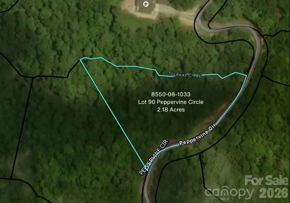 Lot 90 Peppervine Circle #90 Rosman, NC 28712