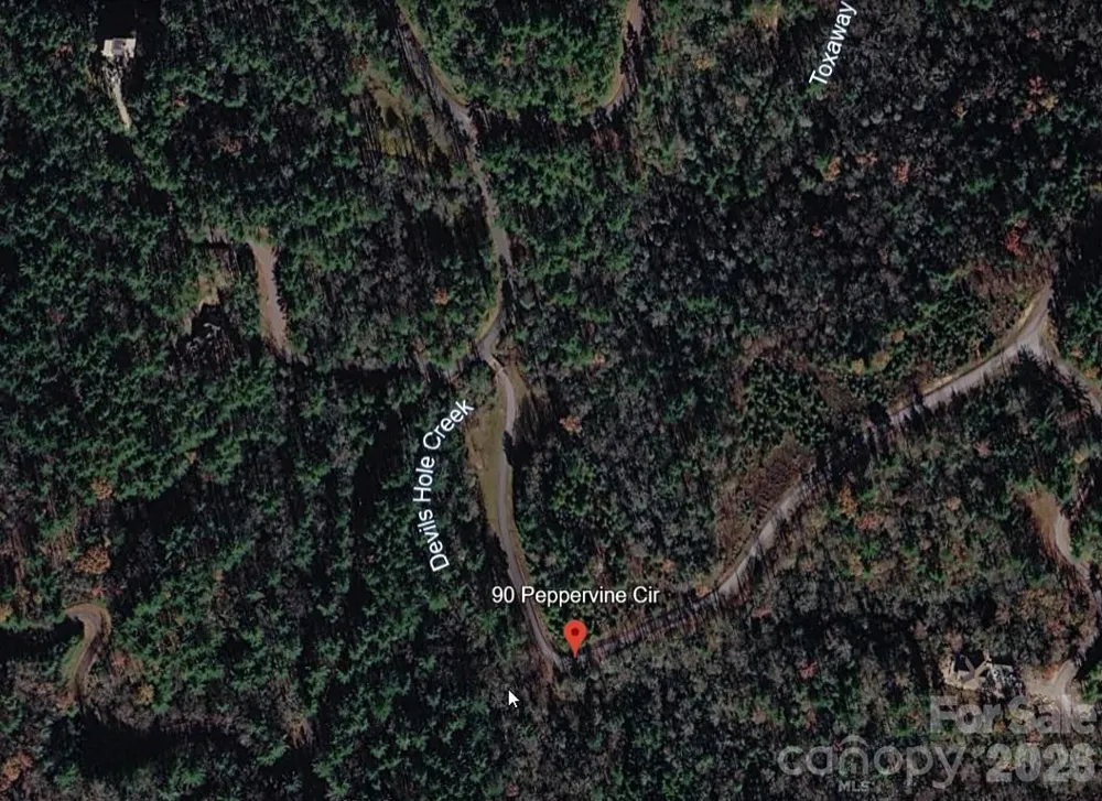 Lot 90 Peppervine Circle #90 Rosman, NC 28712