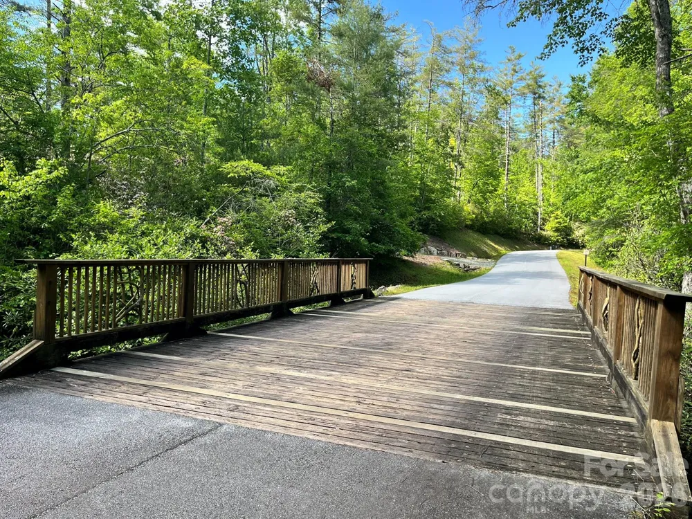 Lot 90 Peppervine Circle #90 Rosman, NC 28712