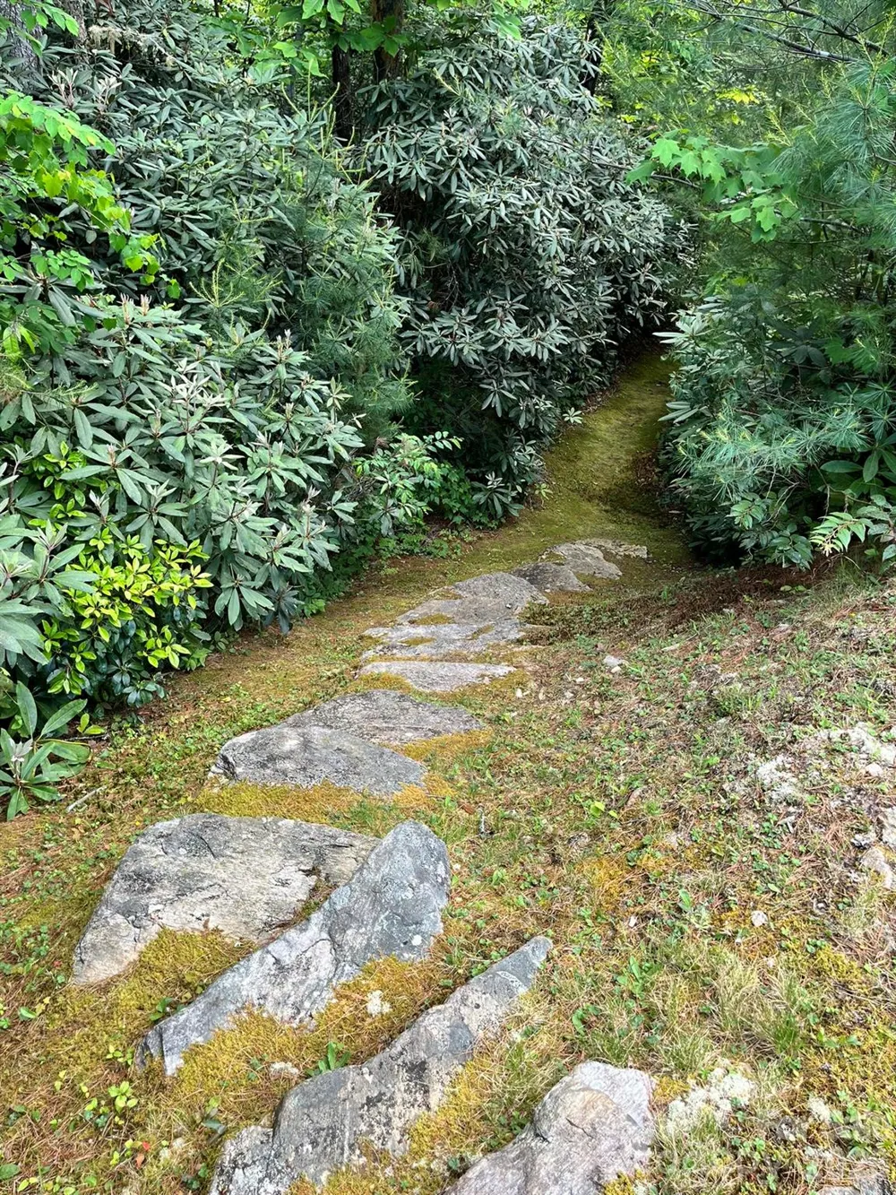 Lot 90 Peppervine Circle #90 Rosman, NC 28712