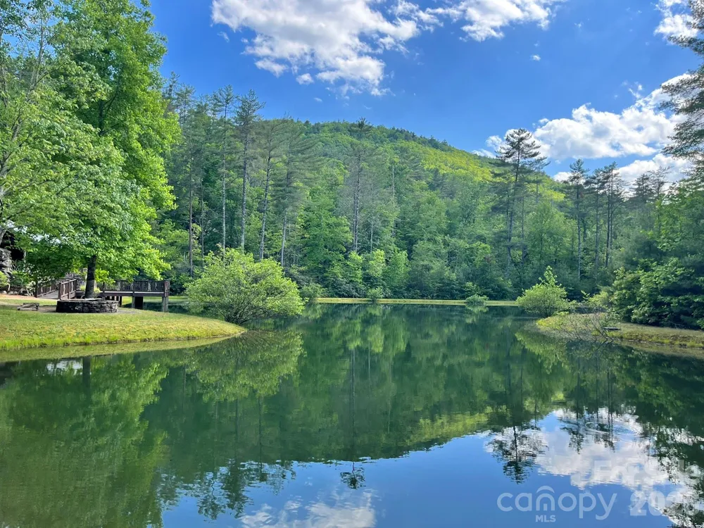 Lot 90 Peppervine Circle #90 Rosman, NC 28712