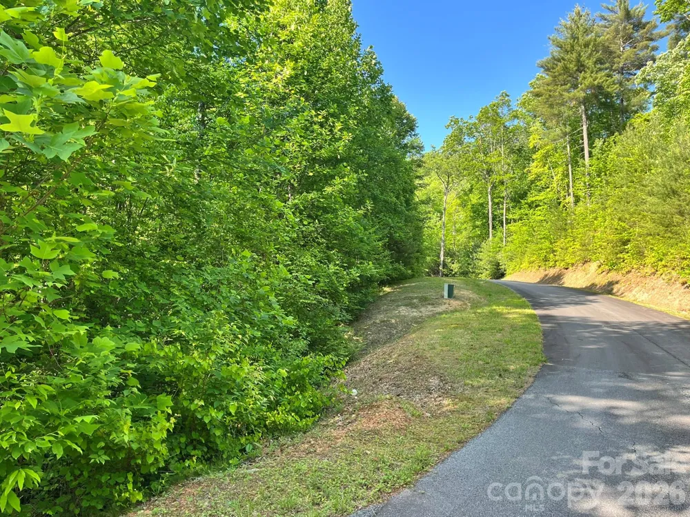 Lot 90 Peppervine Circle #90 Rosman, NC 28712