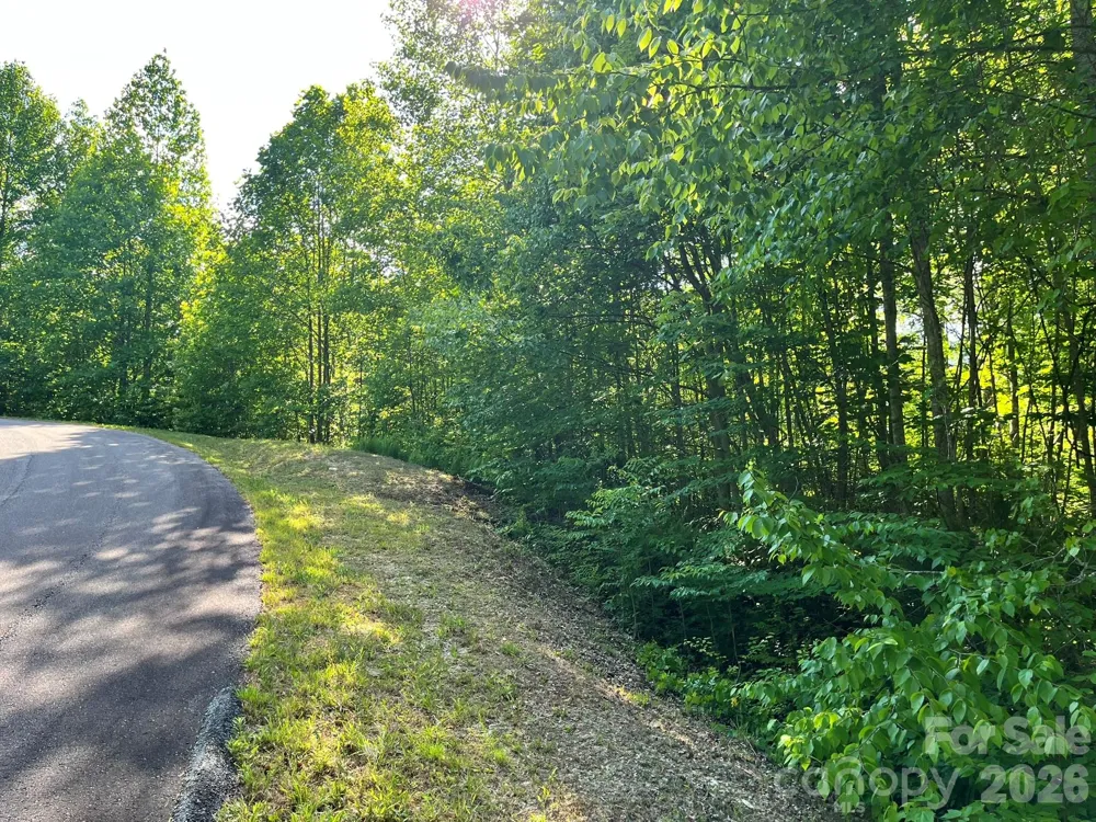 Lot 90 Peppervine Circle #90 Rosman, NC 28712