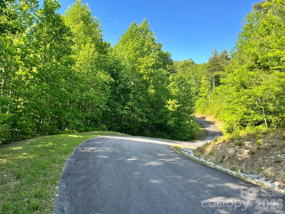 Lot 90 Peppervine Circle #90 Rosman, NC 28712
