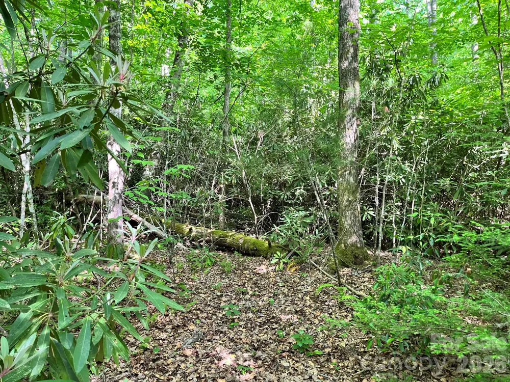 Lot 90 Peppervine Circle #90 Rosman, NC 28712