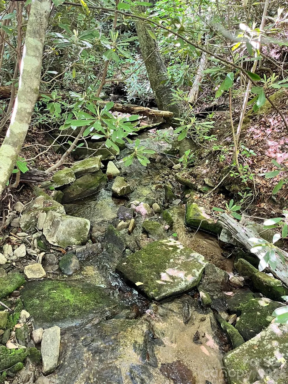 Lot 90 Peppervine Circle #90 Rosman, NC 28712