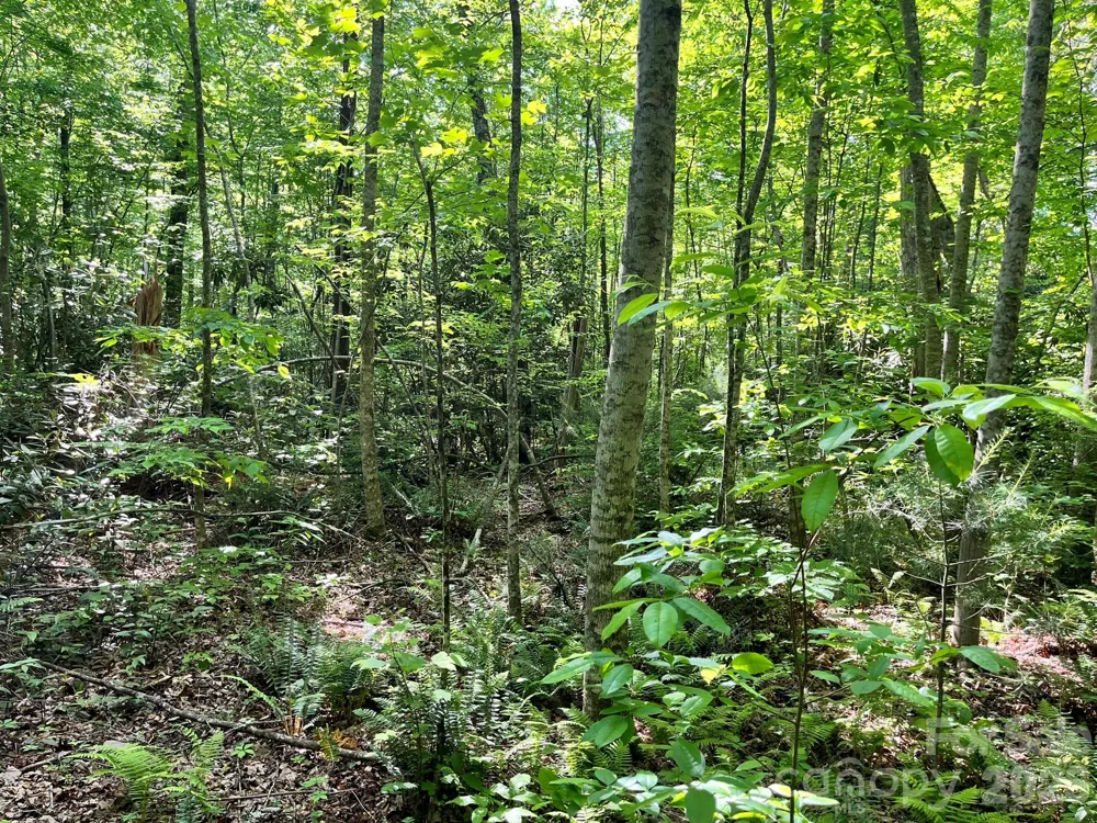 Lot 90 Peppervine Circle #90 Rosman, NC 28712