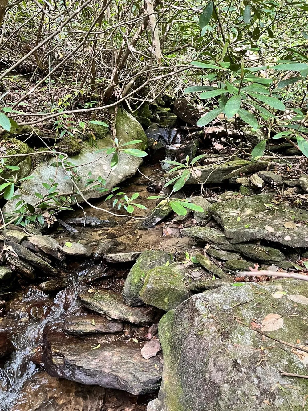 Lot 90 Peppervine Circle #90 Rosman, NC 28712