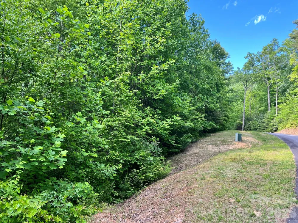 Lot 90 Peppervine Circle #90 Rosman, NC 28712