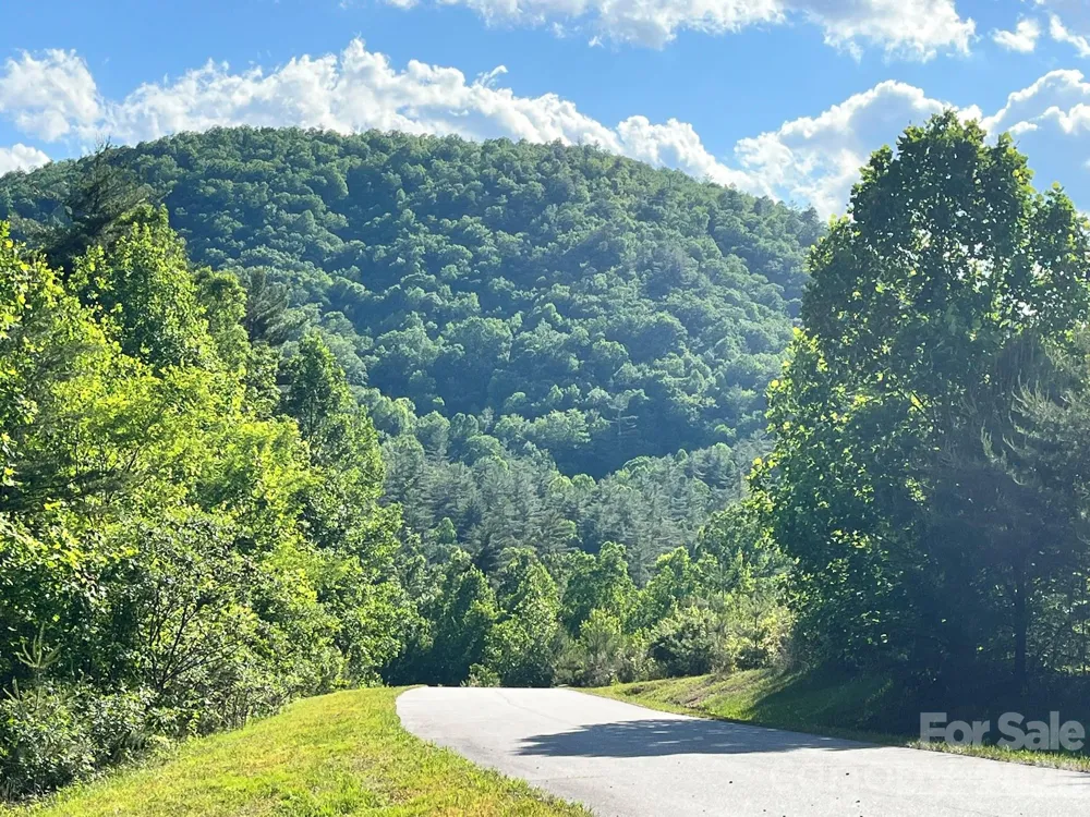 Lot 90 Peppervine Circle #90 Rosman, NC 28712