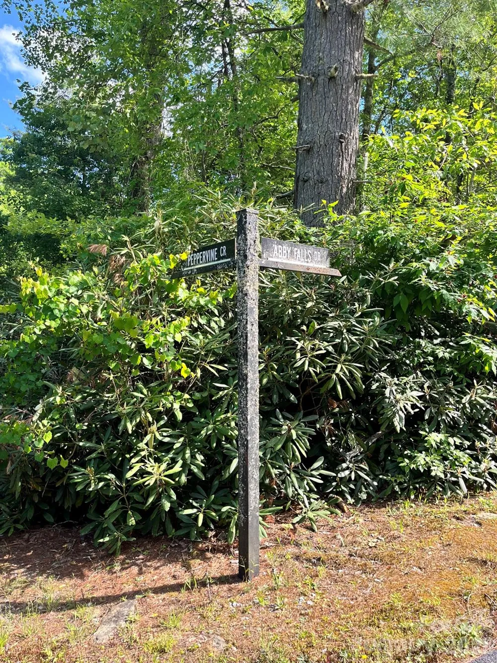 Lot 90 Peppervine Circle #90 Rosman, NC 28712