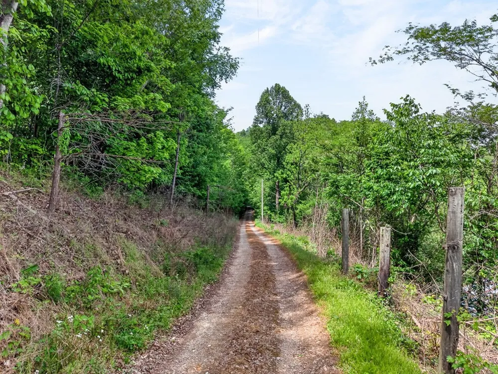 8045 Sarah Thomas Rd Silver Point, TN 38582